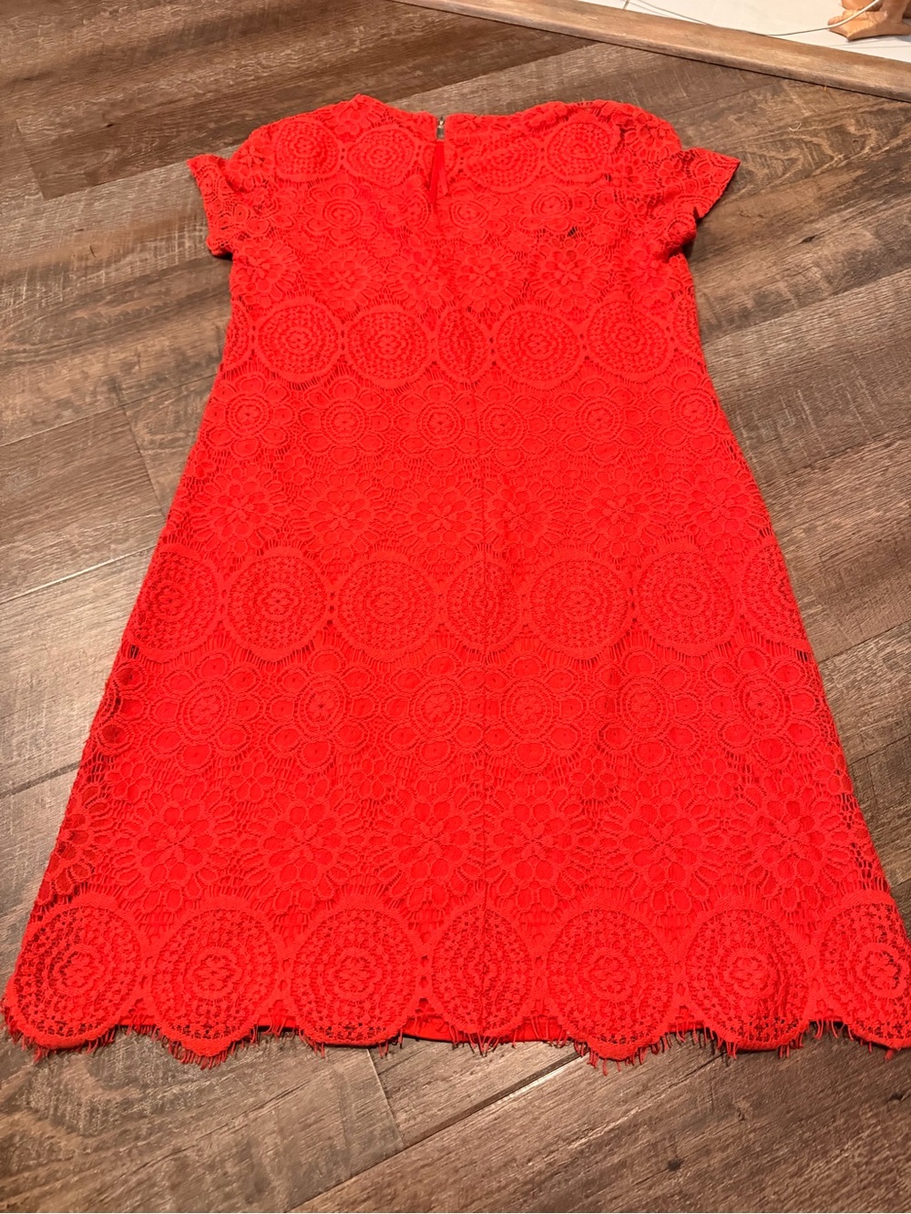 Laundry by Shelli Segal Lace Sheath Dress Size 6 Coral Red Scalloped Hem - Picture 6 of 8